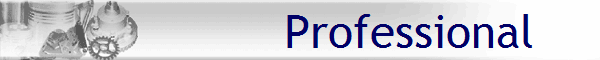 Professional
